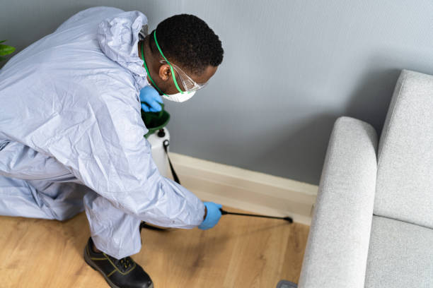 Emergency Pest Control Services in Myrtletown, CA